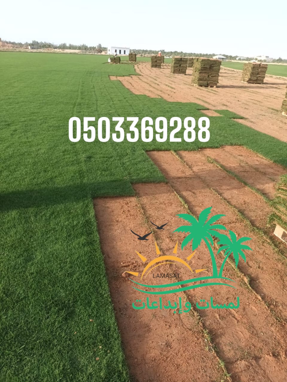 🍃. توريد وتركيب تيل طبيعي – C2000 – 