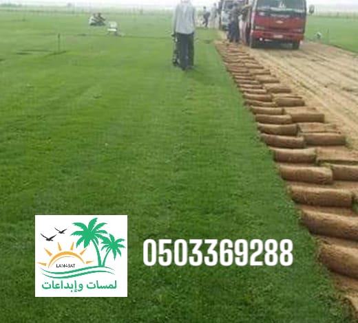 🍃. توريد وتركيب تيل طبيعي – أمريكي