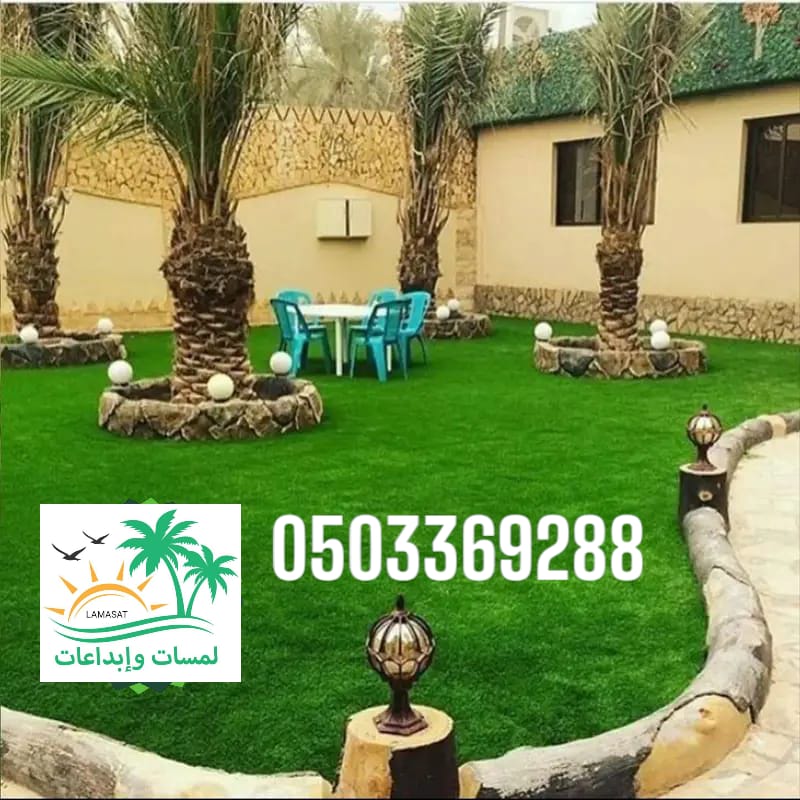 🌴. توريد وتركيب نخيل بلدي